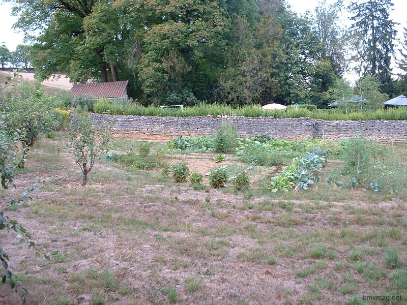 DSCF0099